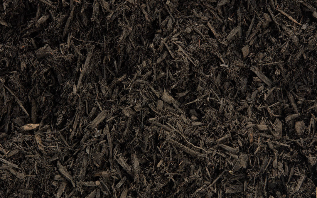 Mulch – color-enhanced black