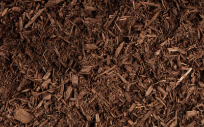 Mulch – color-enhanced medium brown