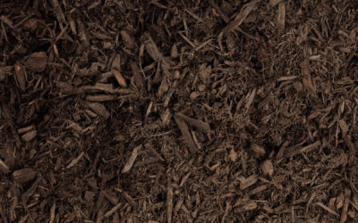 Mulch – color-enhanced dark brown